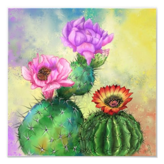 Fleurs de cactus colorées Impression photo - Peint (Devant)