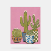 Fleurs de cactus rose (Recto)