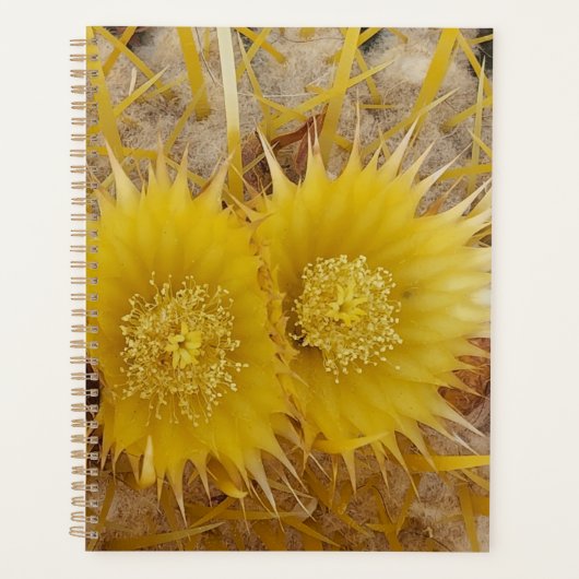 Fleurs de cactus vibrantes en fleur de fleur de fl (Devant)