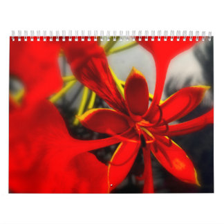Fleurs de calendrier