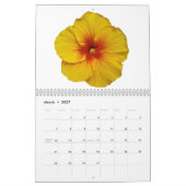 Fleurs de calendrier (Mar 2027)