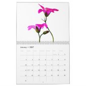 Fleurs de calendrier (Jan 2027)