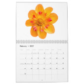 Fleurs de calendrier (Feb 2027)