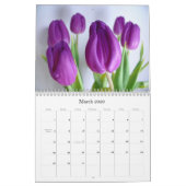 Fleurs de calendrier (Mar 2026)