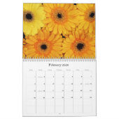 Fleurs de calendrier (Feb 2026)