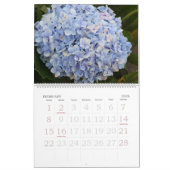 Fleurs de calendrier de Maui 2008 (Feb 2026)