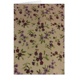 Fleurs de Calico des Prairies