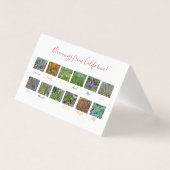 Fleurs de Californie ! (Front)