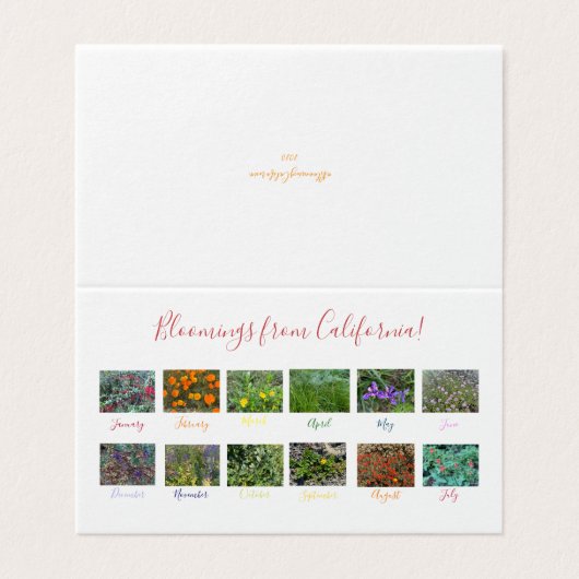 Fleurs de Californie ! (Outside Unfolded)