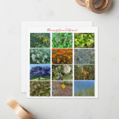 Fleurs de Californie ! Carte de correspondance (Devant/Arrière en situation)