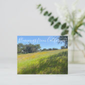 Fleurs de Californie ! Carte postale (Debout devant)