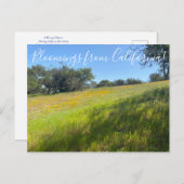 Fleurs de Californie ! Carte postale (Devant / Derrière)