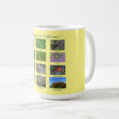 Fleurs de Californie ! Mug (Devant droit)