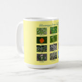 Fleurs de Californie ! Mug (Devant gauche)