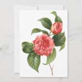Fleurs de Camellia rose par Redoute Invitation (Devant)