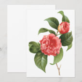 Fleurs de Camellia rose par Redoute Invitation (Devant / Derrière)