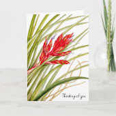 FLEURS DE CARTE NATURE (Devant)