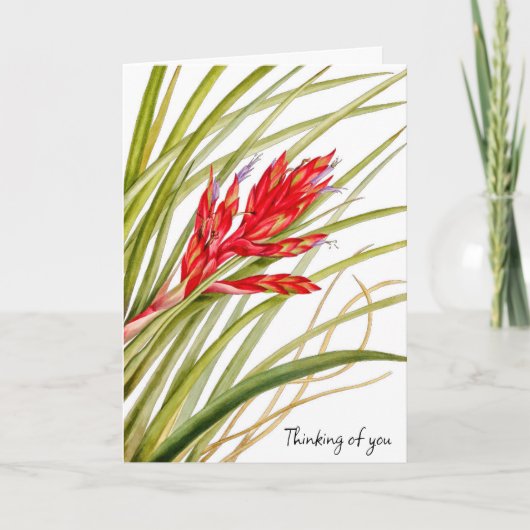 FLEURS DE CARTE NATURE (Devant)