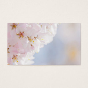 Fleurs de cerisier de Milou