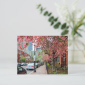 Fleurs de cerisiers à Boston Massachusetts Carte p (Debout devant)