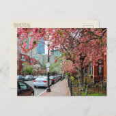 Fleurs de cerisiers à Boston Massachusetts Carte p (Devant / Derrière)