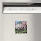 Fleurs de cerisiers à Philadelphie Magnet (In Situ (Lave-vaisselle))
