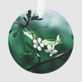 Fleurs de cerisiers blancs (devant)