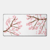 Fleurs de cerisiers Sakura arbre sakura rose flora (Recto)