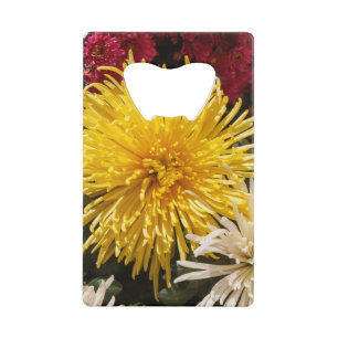 Fleurs de chrysanthème