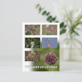 Fleurs de Chypre carte postale (Debout devant)