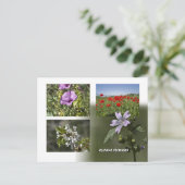 Fleurs de Chypre carte postale (Debout devant)