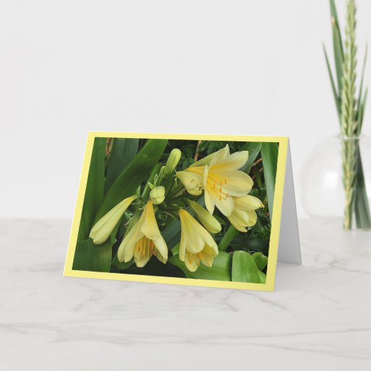 Fleurs de clivea jaune avec carte de bordure jaune (Devant)