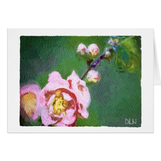 Fleurs de coing/apparence florale/aquarelle (Devant Horizontal)