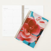 Fleurs de corail rouge pâle et élégant Turquoise (Devant avec enveloppe)