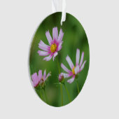 Fleurs de cosmos (devant)