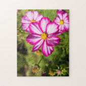 Fleurs De Cosmos Rose Et Blanc Puzzle Jigsaw (Vertical)