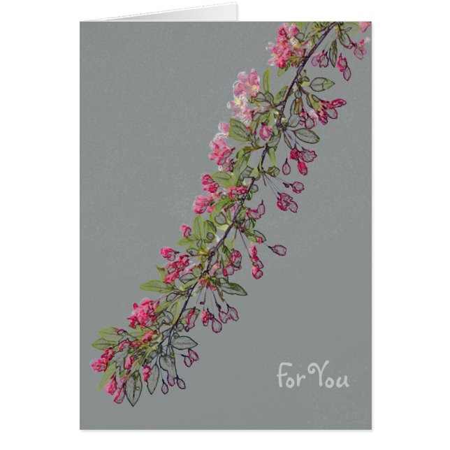 Fleurs de Crabapple de Central Park (Devant)