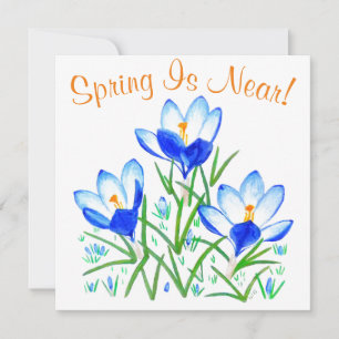 Fleurs de Crocus sur Carte Blanche Plate