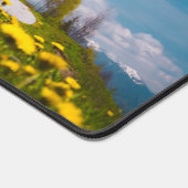 Fleurs de Dandelion à l'église st primus Jamnik Sl (Coin)