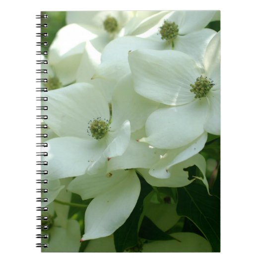 Fleurs de Dogwood Blanc Carnet naturel (Devant)