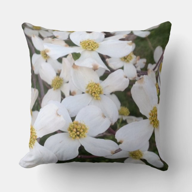 Fleurs de Dogwood Blanc Coussin (Recto)