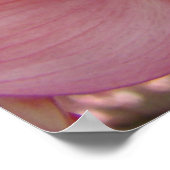 Fleurs de DOGWOOD Nature Art Imprimés Affiches (Coin)