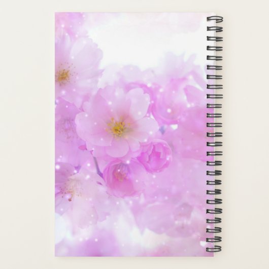 Fleurs de fleurs de cerisier rose (Dos)