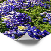 Fleurs de foi 1 Chroniques 16:10 Poster d'art (Coin)