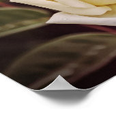 Fleurs de foi Isaïe 26:3 Poster d'art (Coin)