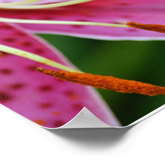 Fleurs de foi Isaïe 40:8 Poster d'art (Coin)