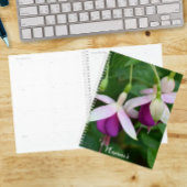 Fleurs de Fuchsia Violettes avec Sépales Blancs Fl