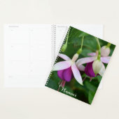 Fleurs de Fuchsia Violettes avec Sépales Blancs Fl (Devant avec enveloppe)