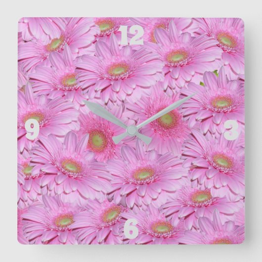 Fleurs de Gerbera roses, horloge murale carrée (Recto)