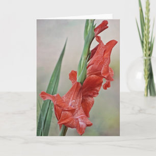 Fleurs de gladiolus rouge melon Carte de note
